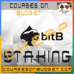 BitB Staking Cheap