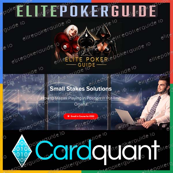 CARDQUANT Small Stakes Solutions Seminar at ElitePokerGuide