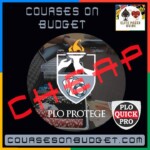 PLO QuickPro PLO Protege Cheap