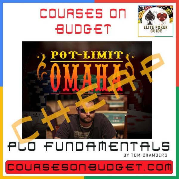 PLOTheory PLO Fundamentals by Tom Chambers Cheap