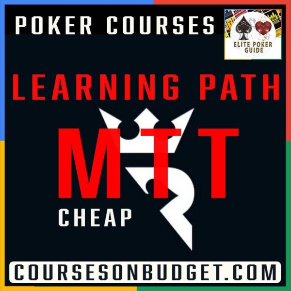 Run It Once MTT Learning Path 2024 Cheap