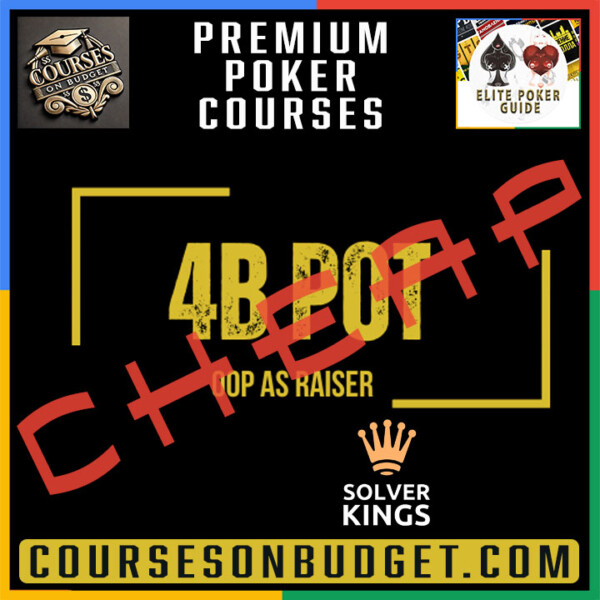 Solver Kings - Bloque 9 – 4BPots con Iniciativa OOP - black