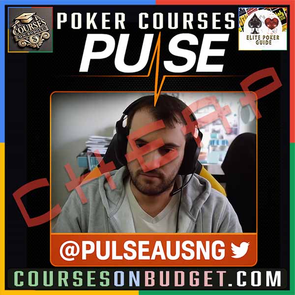 PULSEAU SNG